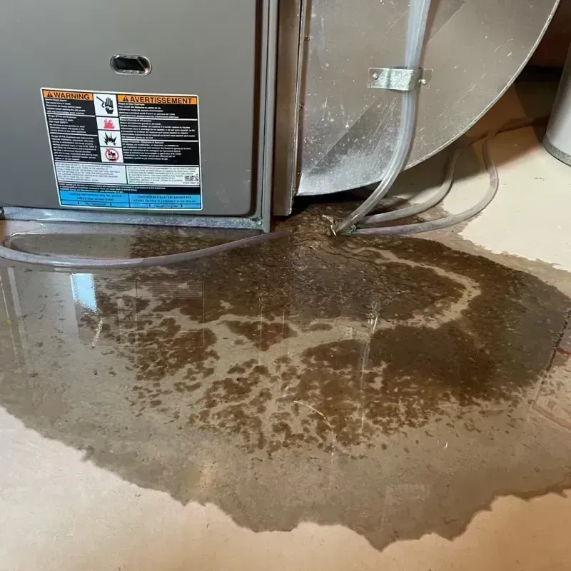 Appliance Leak Cleanup in Marion, MS